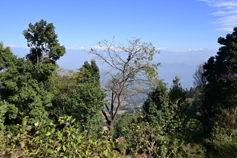 Capital to Country Multi-Day Ultra Marathon 2023 Day Two